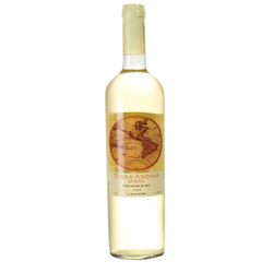 Vino Terra Andina varietal sauvignon blanc 750 cc