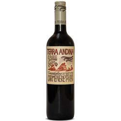 Vino Terra Andina carmenere 750 cc