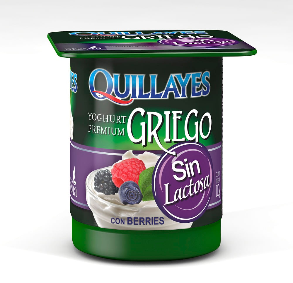Yoghurt Griego Quillayes sin lactosa berries 110 g