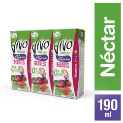 Pack néctar Vivo berries 3 un de 190 ml