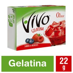 Gelatina Vivo berries libre de azúcar 22 g