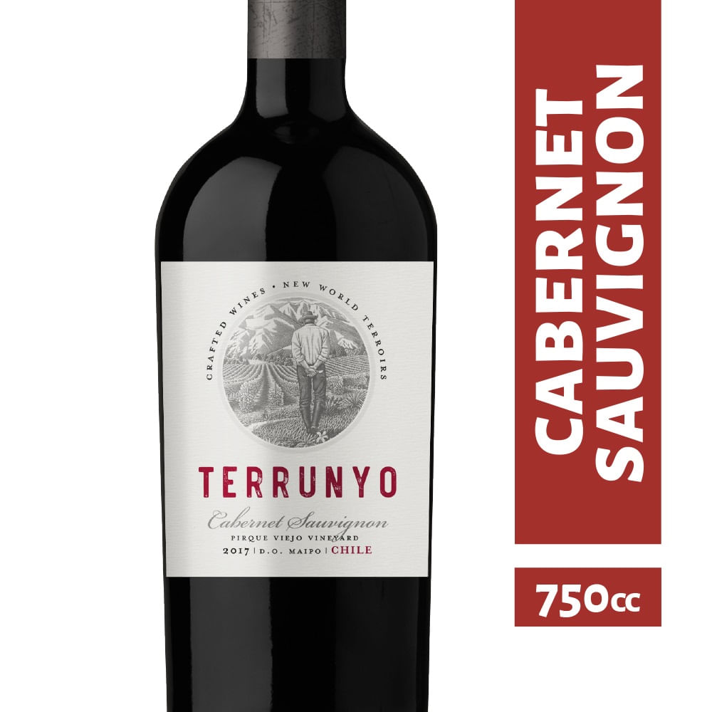 Vino Concha y Toro Terrunyo cabernet sauvignon 750 cc