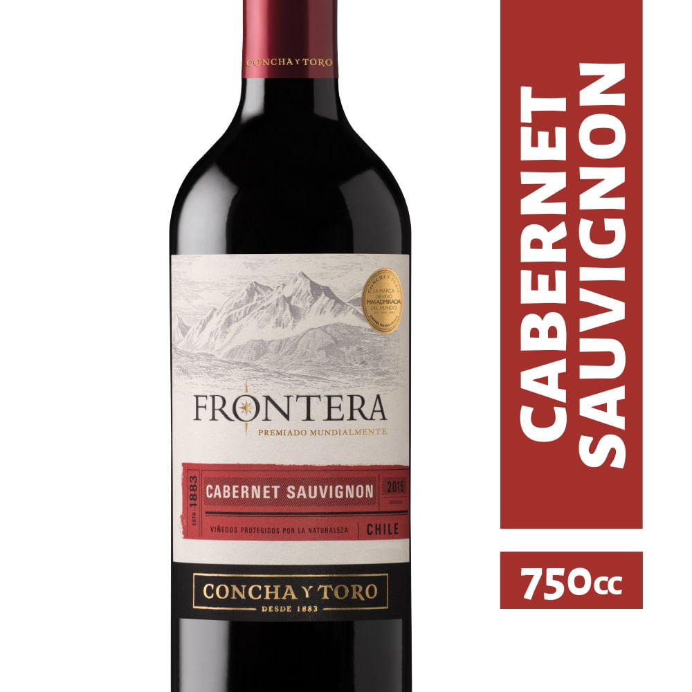 Vino Concha y Toro frontera cabernet sauvignon 750 cc