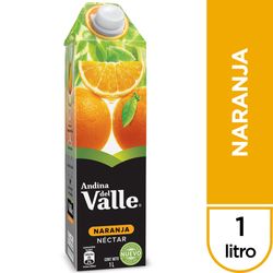 Néctar Andina del Valle naranja tetra 1 L
