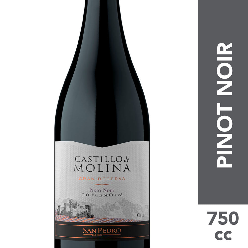 Vino Castillo de Molina gran reserva pinot noir 750 cc