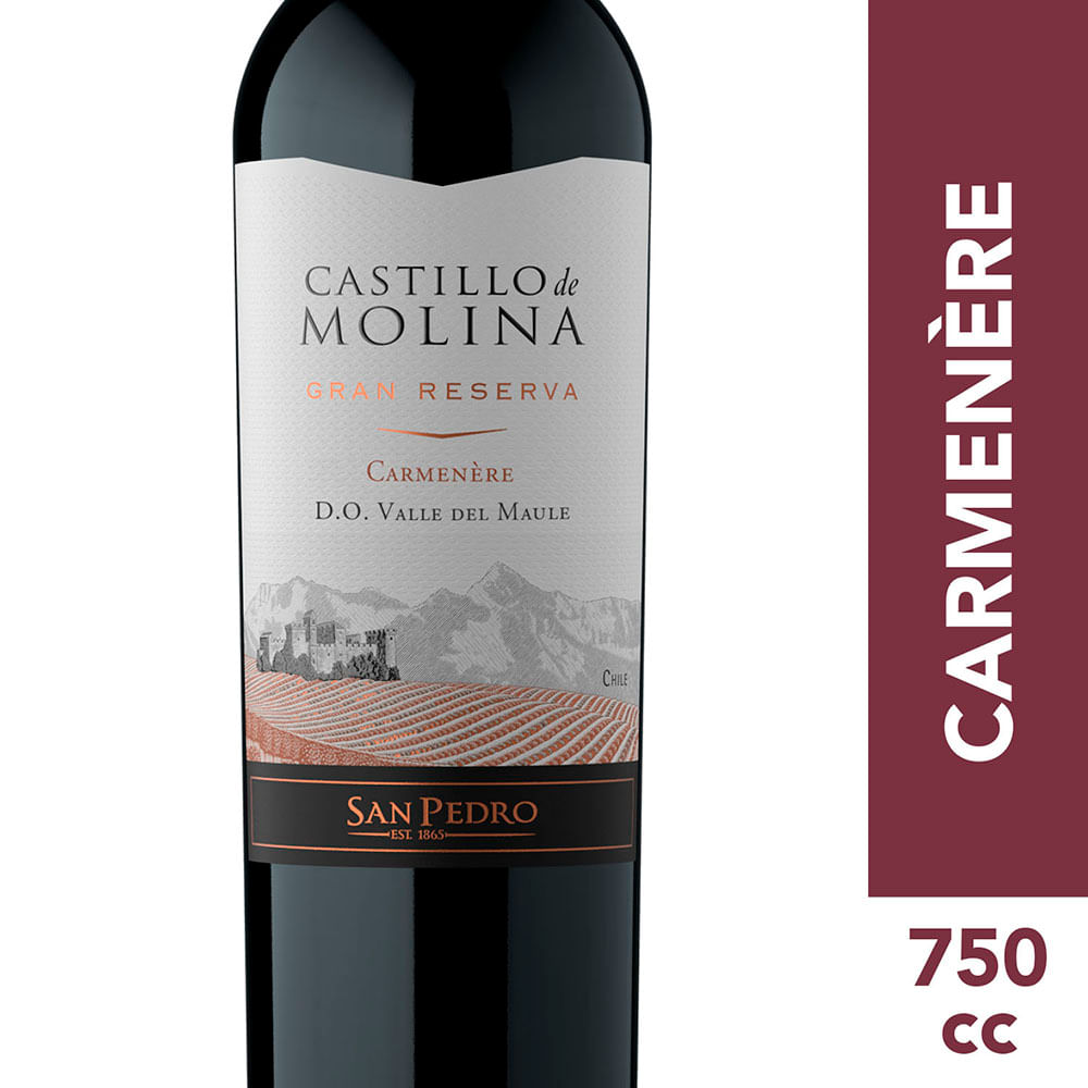 Vino Castillo de Molina gran reserva carmenere 750 cc