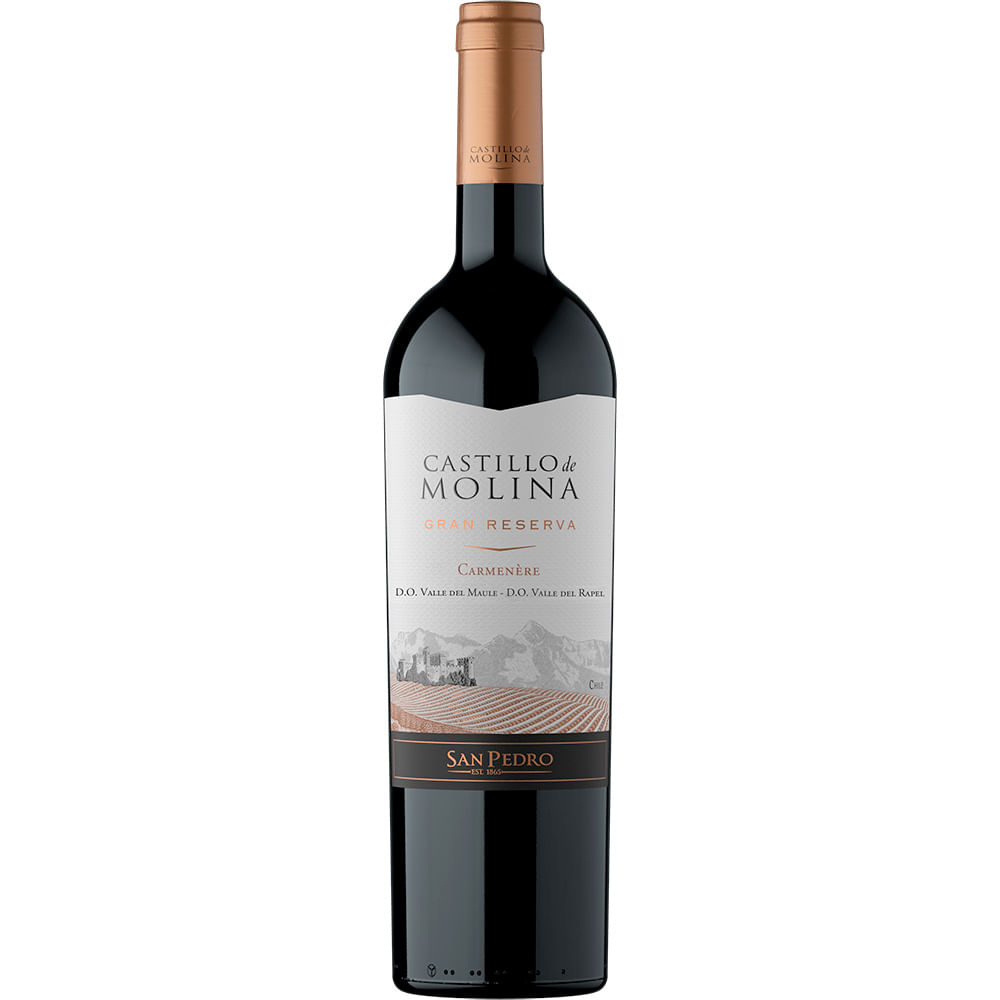 Vino Castillo de Molina gran reserva carmenere 750 cc Vino Castillo de Molina gran reserva carmenere 750 cc