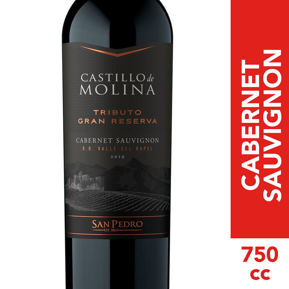 Vino Castillo de Molina cabernet sauvignon 750 cc