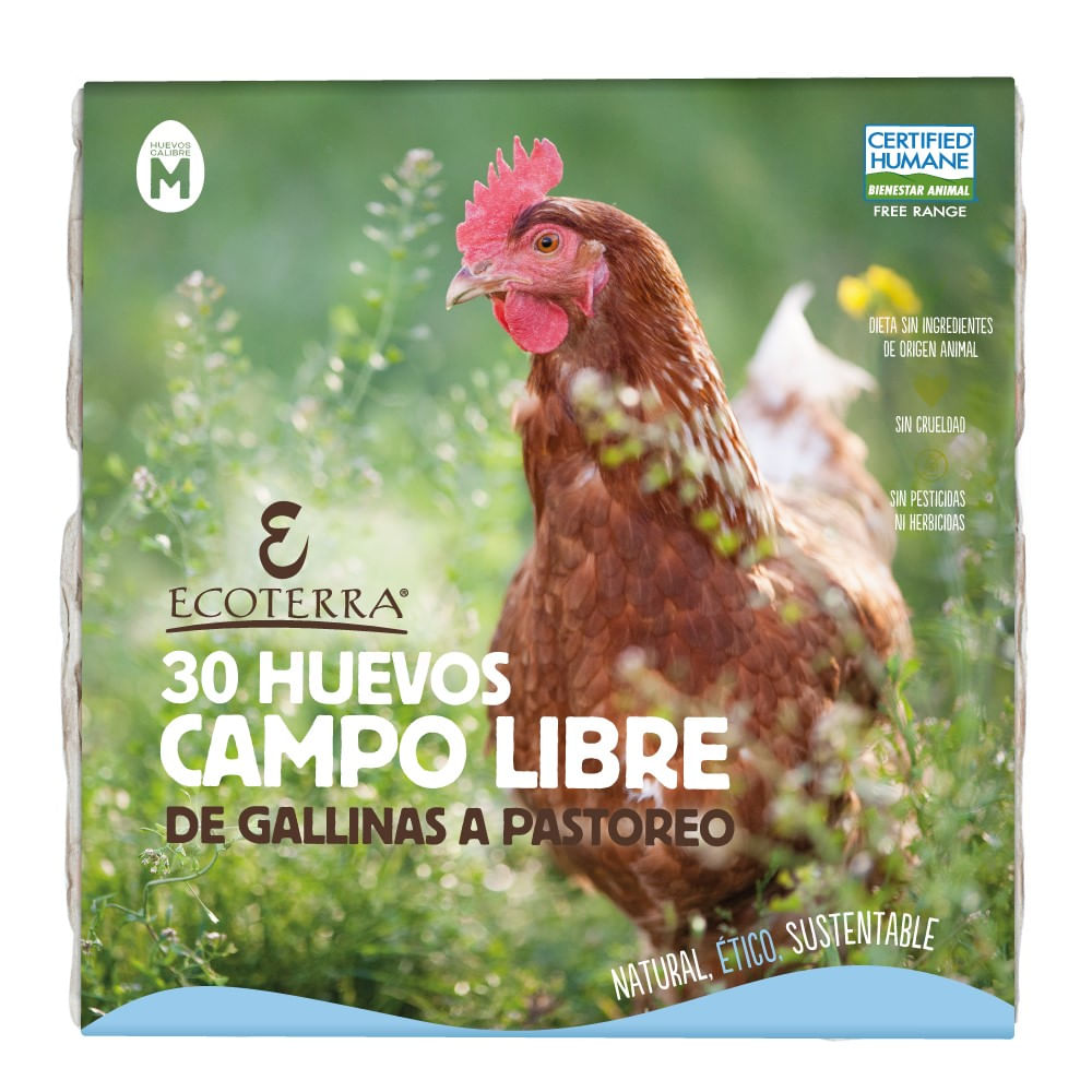 Huevos campo gallina libre Ecoterra bandeja 30 un