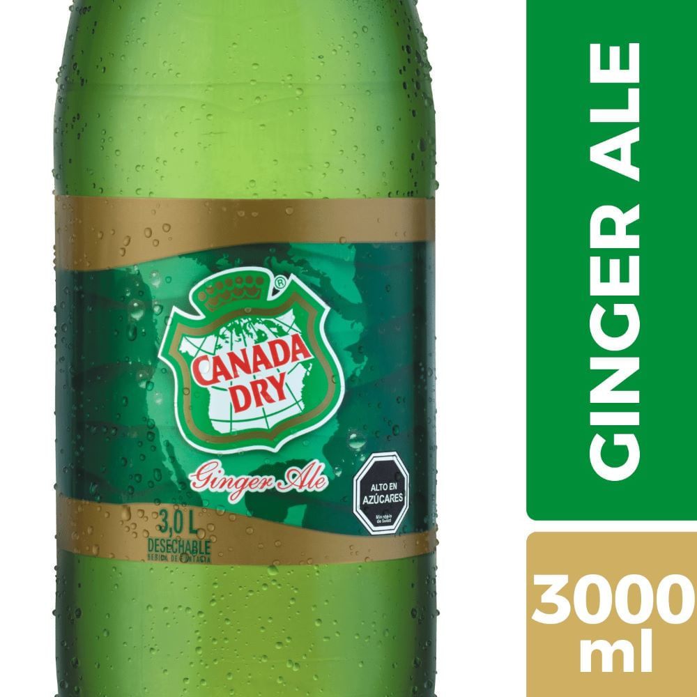 Bebida Canada Dry ginger ale no retornable 3 L