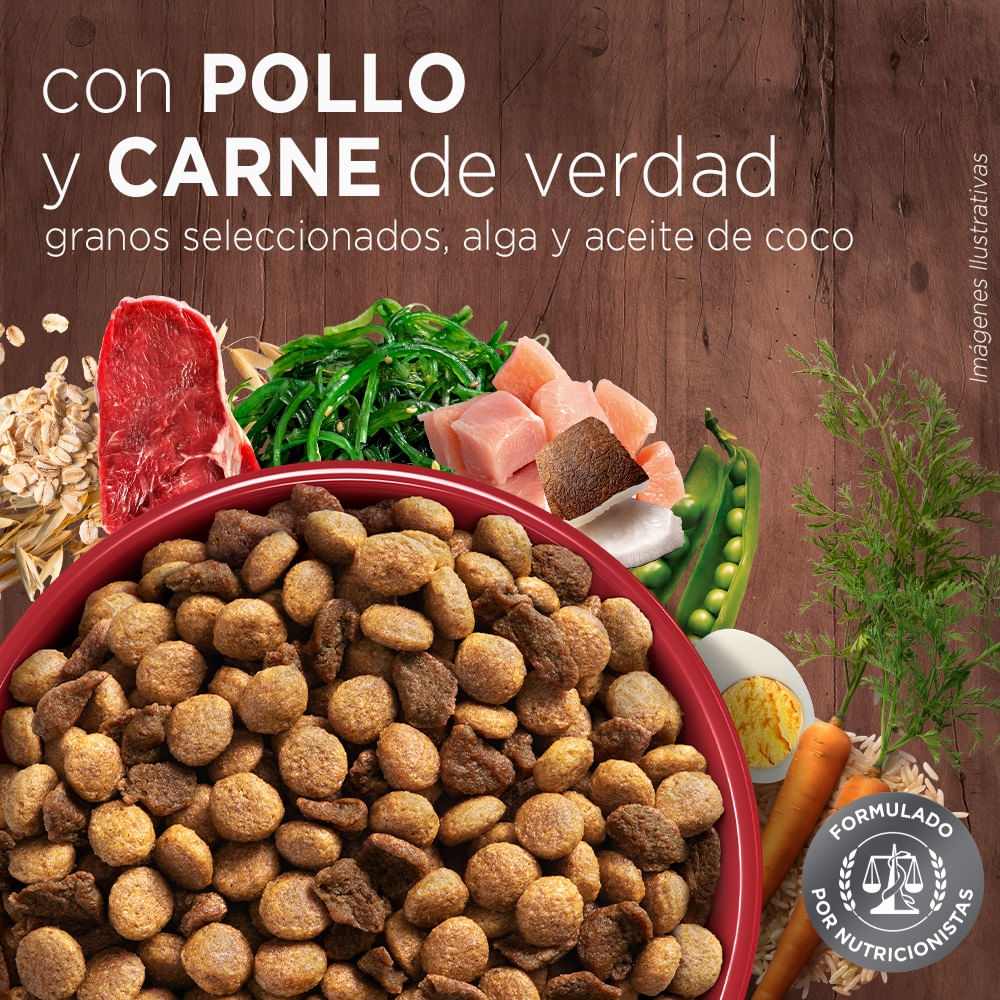 Alimento perro adulto Purina One minis y pequeños pollo y carne 2 Kg Alimento perro adulto Purina One minis y pequeños pollo y carne 2 Kg