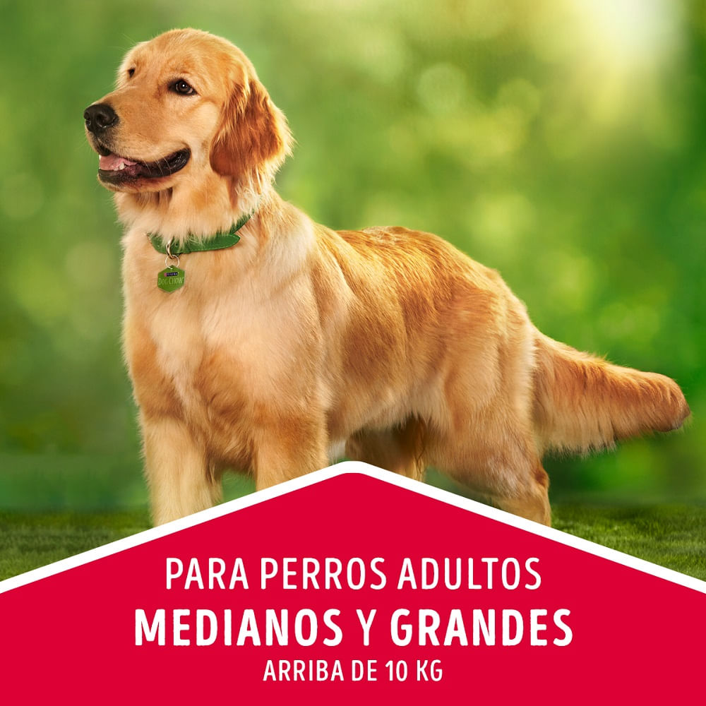 Alimento perro adulto Dog Chow medianos y grandes carne y pollo 3 Kg Alimento perro adulto Dog Chow medianos y grandes carne y pollo 3 Kg