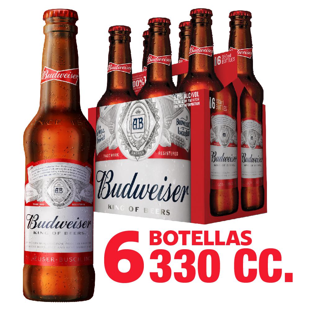 Pack Cerveza Budweiser botella 6 un de 330 cc