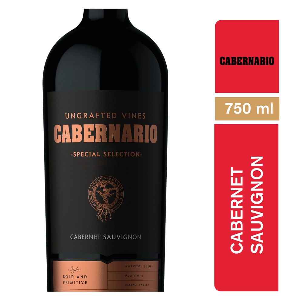 Vino Cabernario cabernet sauvignon special 750 cc Vino Cabernario cabernet sauvignon special 750 cc
