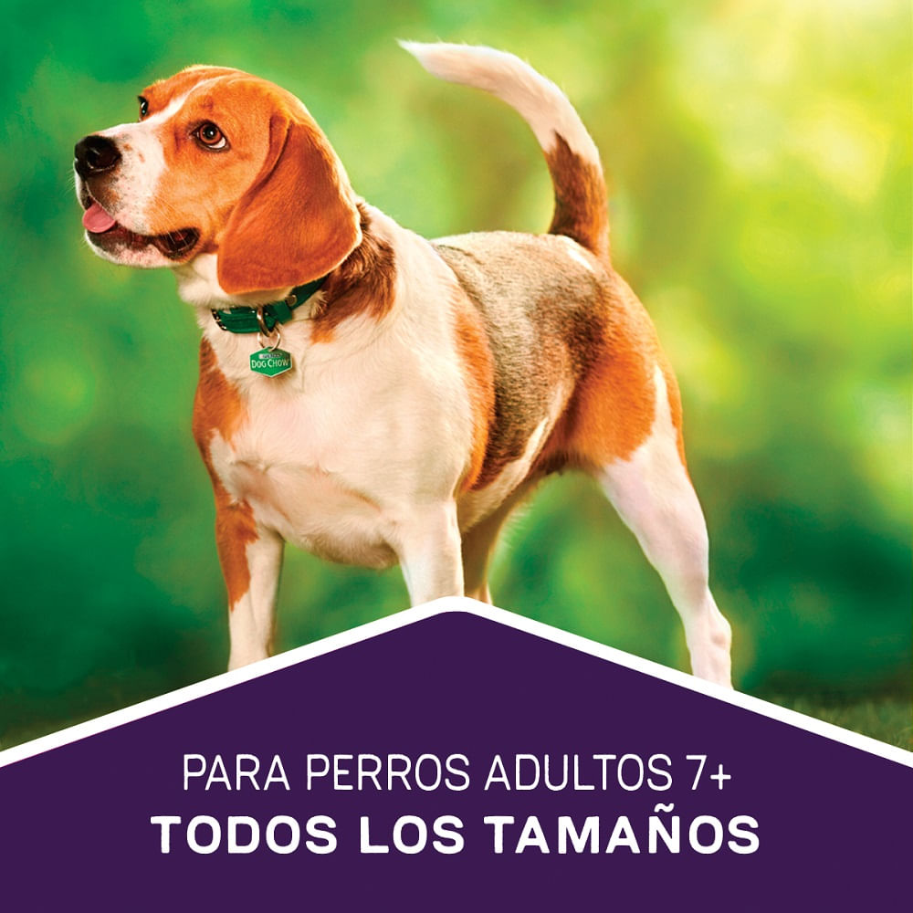 Alimento perro adulto Dog Chow longevidad 15 Kg Alimento perro adulto Dog Chow longevidad 15 Kg