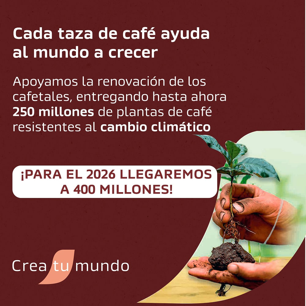 Café Nescafé tradición lata 170 g Café Nescafé tradición lata 170 g