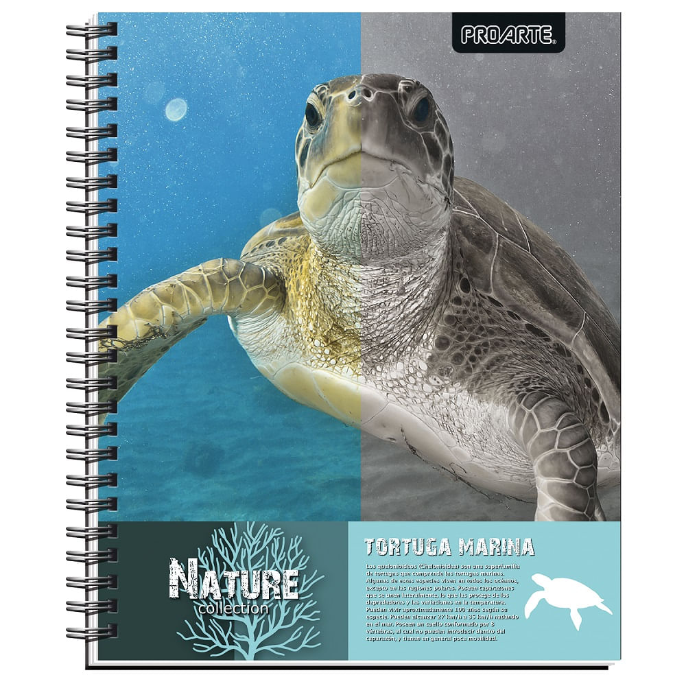 Cuaderno Proarte universitario nature 7 mm 100 hojas Cuaderno Proarte universitario nature 7 mm 100 hojas