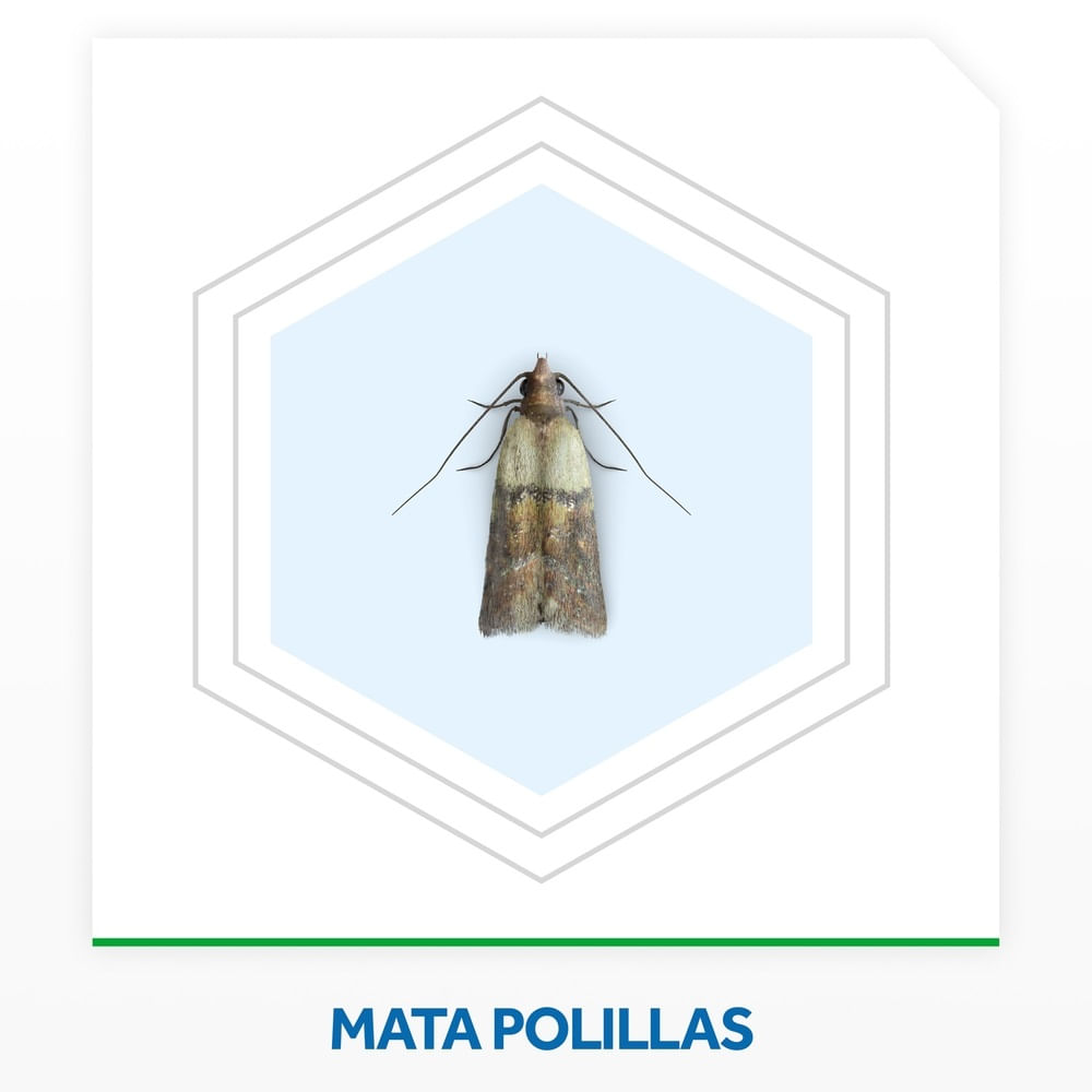 Insecticida Raid mata polillas y larvas aerosol 390 cc Insecticida Raid mata polillas y larvas aerosol 390 cc