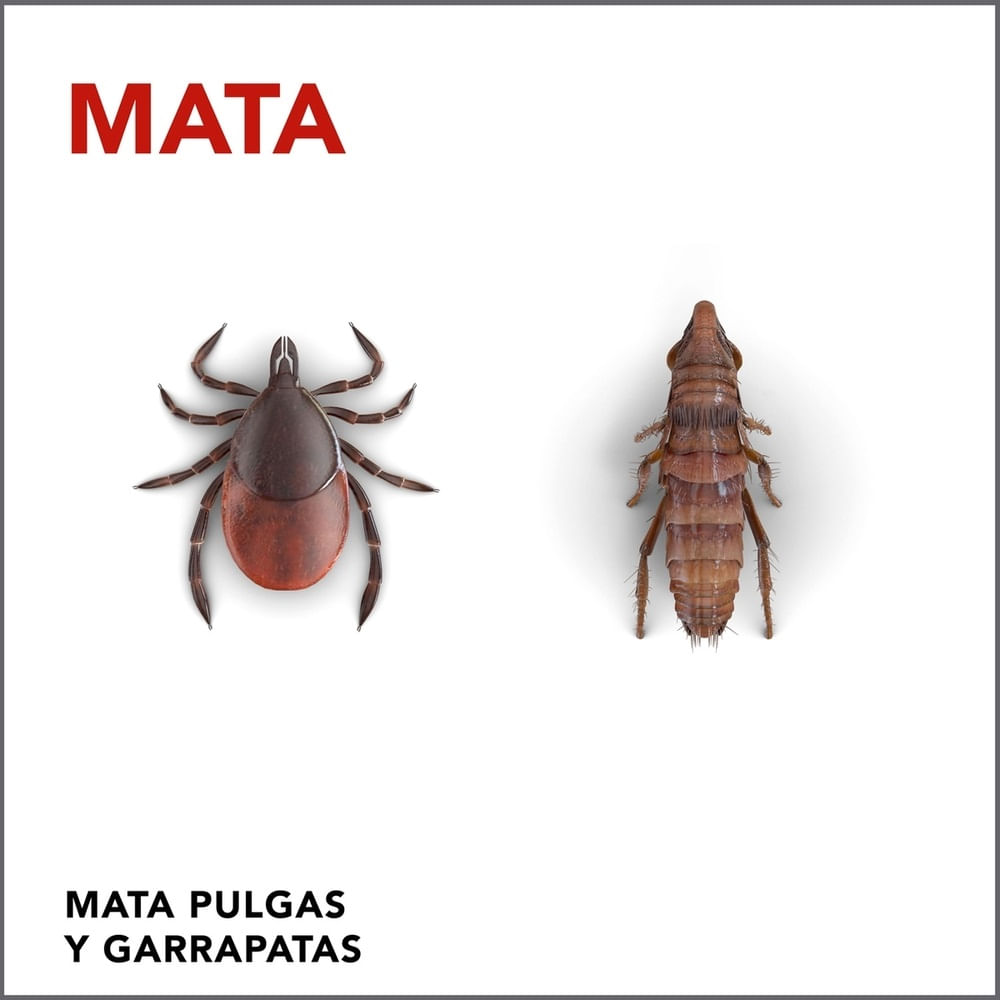 Insecticida Raid mata pulgas y garrapatas aerosol 390 cc Insecticida Raid mata pulgas y garrapatas aerosol 390 cc