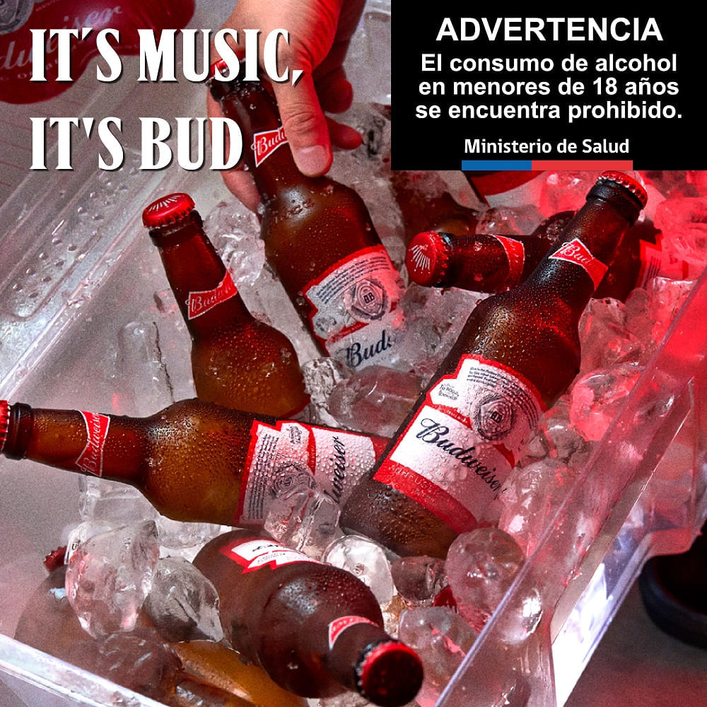 Pack Cerveza Budweiser lata 6 un de 473 cc Pack Cerveza Budweiser lata 6 un de 473 cc