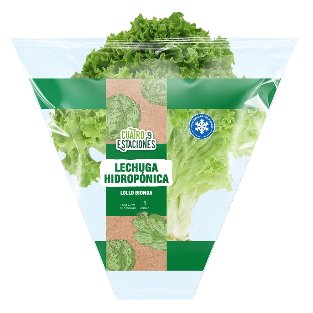 Lechuga hidropónica lollo bionda Cuatro Estaciones 1 un